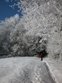 winterwalking-2-web